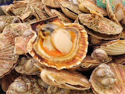 Fête de la Coquille, des produits de la Mer et de la Gastronomie
