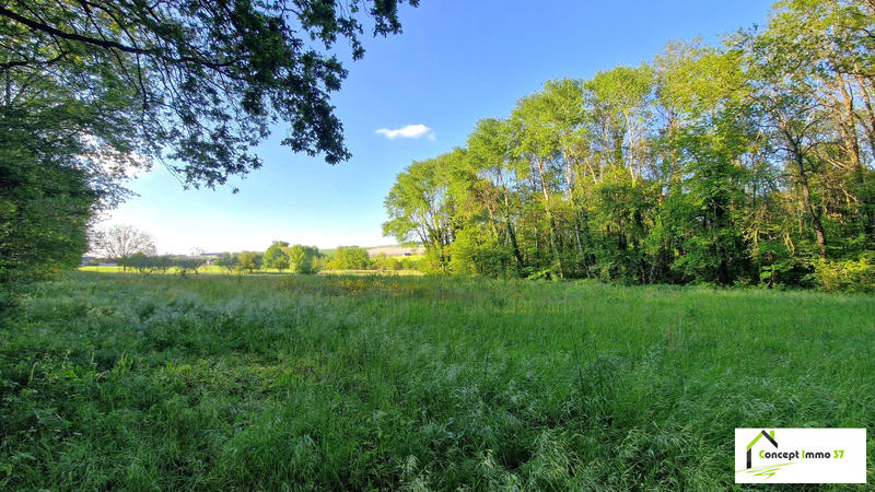 Maison - 235 m² - 8 pièces