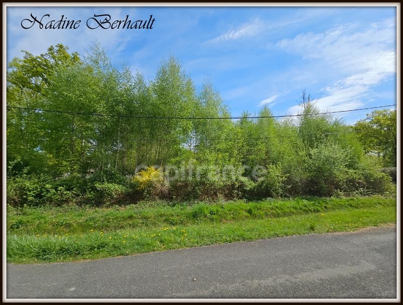 Terrain constructible - 3 921 m²