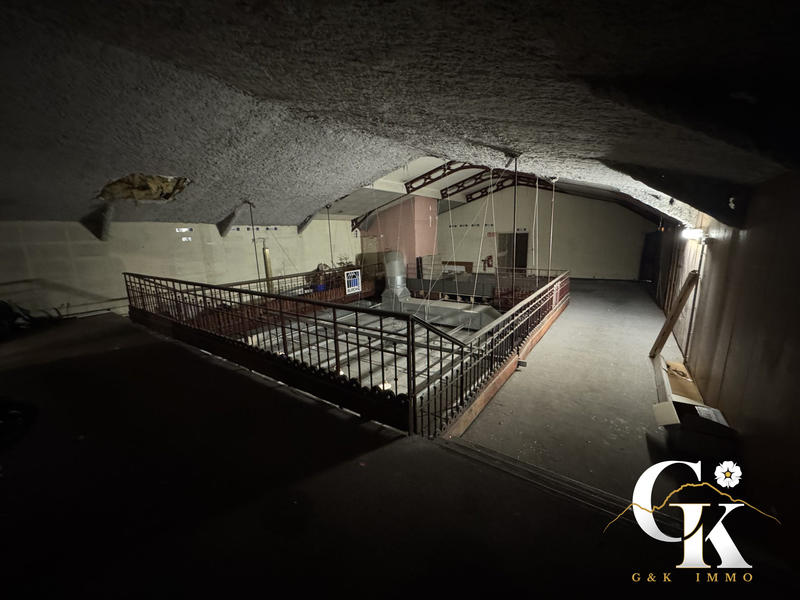 Local commercial - 1 172 m² - 11 pièces