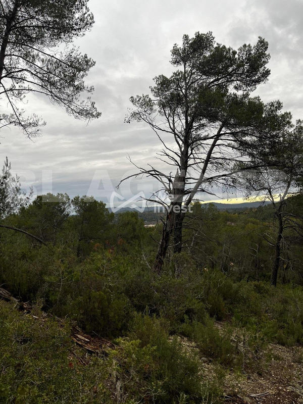 Terrain - 14 680 m²