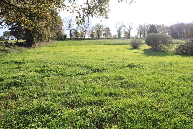 Maison - 124 m² - 5 pièces