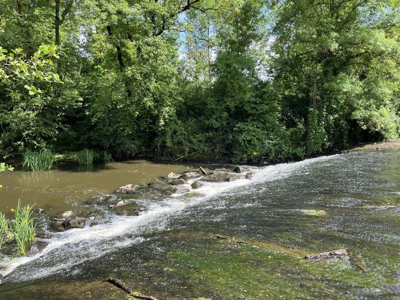 Propriété - 422 m² - 29 pièces