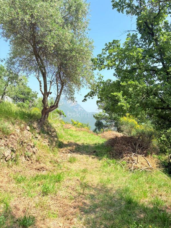 Terrain - 1 562 m²