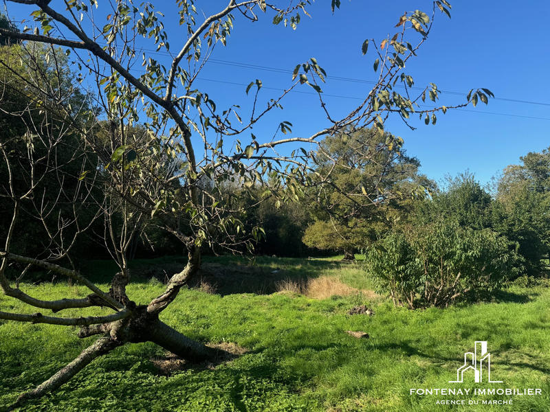 Maison - 80 m² - 3 pièces