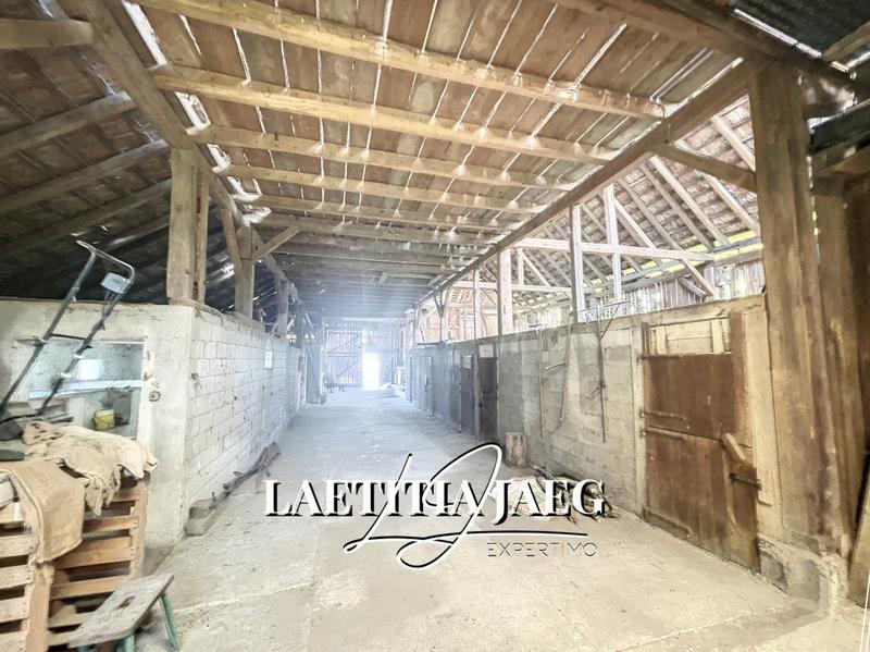 Maison - 650 m² - 1 pièce