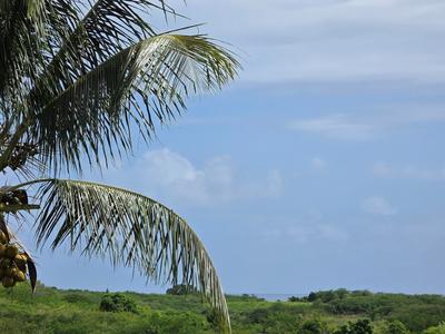 Villa - 239 m² - 7 pièces