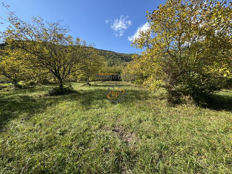 Terrain - 8 258 m²