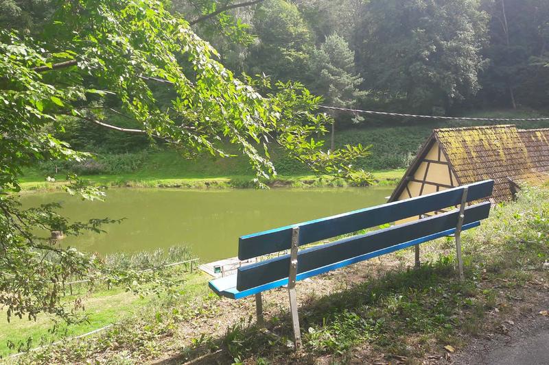 Club Vosgien : Circuit des Genêts