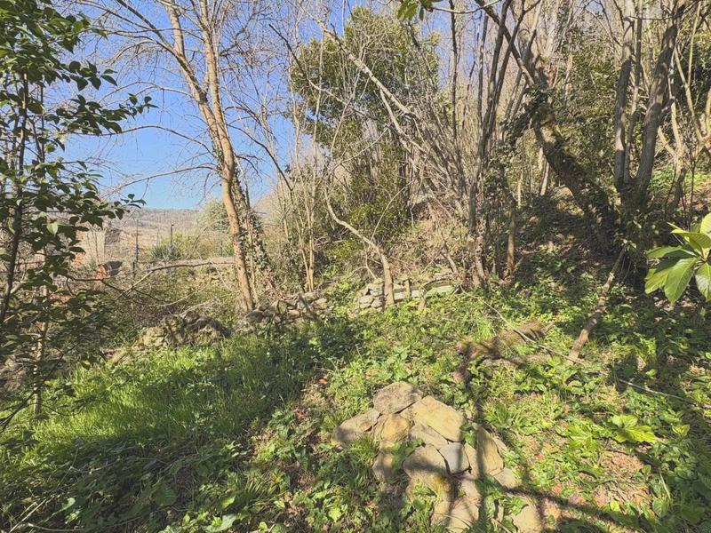 Maison - 48 m² - 1 pièce