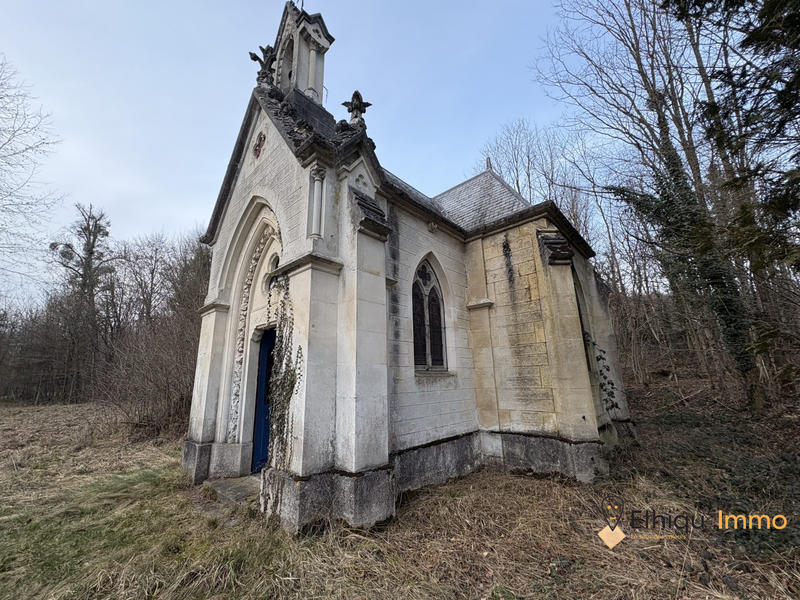 Château - 700 m² - 25 pièces