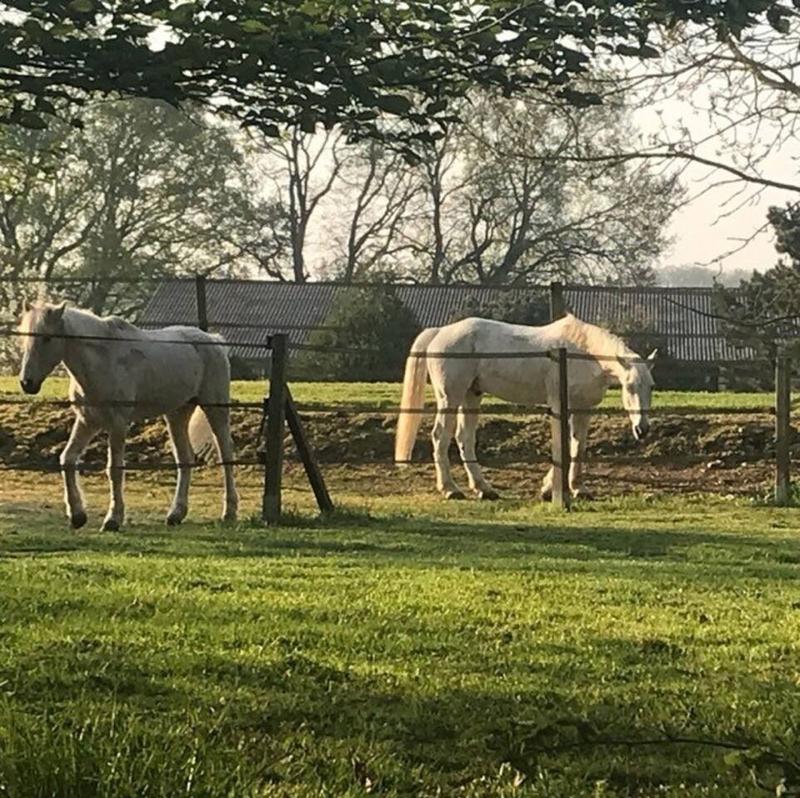 Manoir - 950 m² - 18 pièces