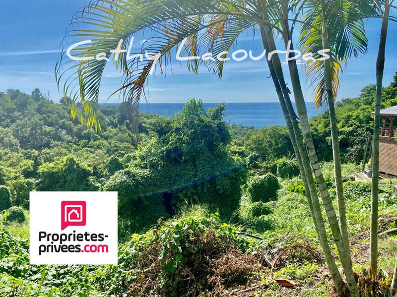 Terrain constructible - 7 709 m²