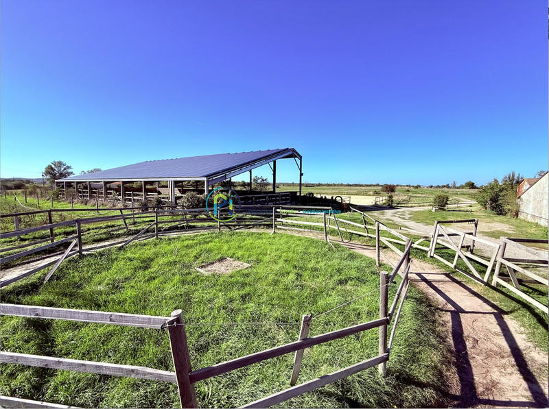 Maison ancienne - 130 m² - 4 pièces