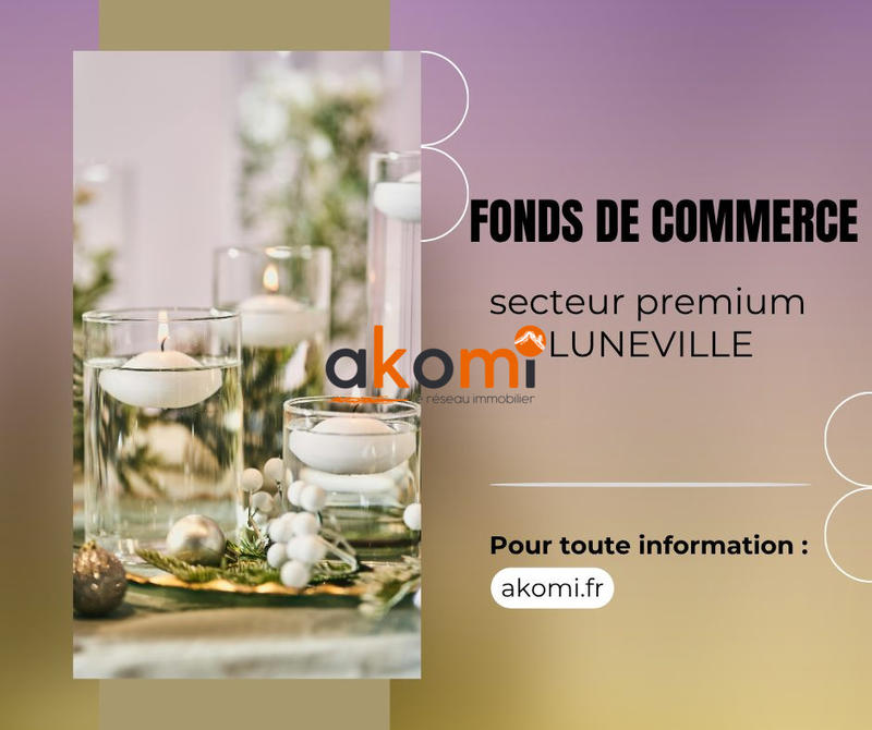 Fonds de commerce - Magasins - 250 m²