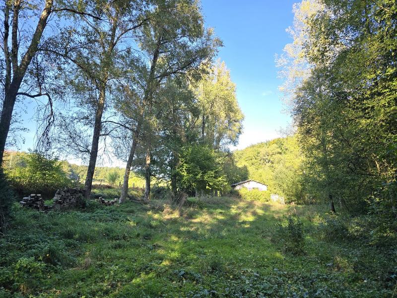 Maison - 24 m² - 1 pièce