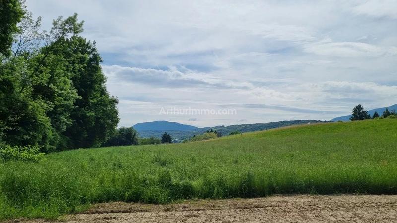 Terrain - 644 m²