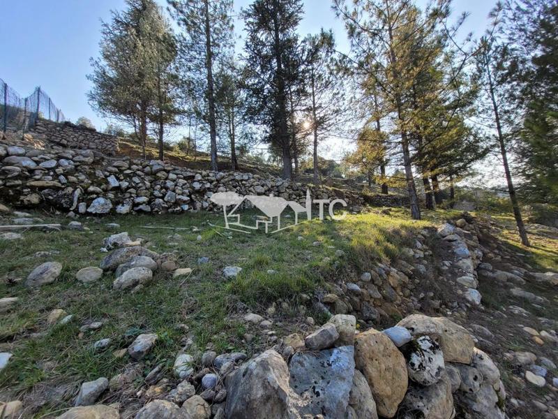 Maison - 159 m² - 7 pièces