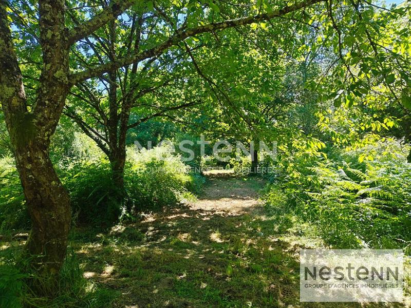 Terrain - 270 000 m²