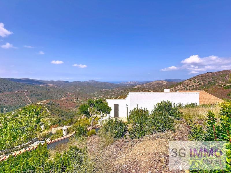 Viager - Maison - 140 m² - 6 pièces