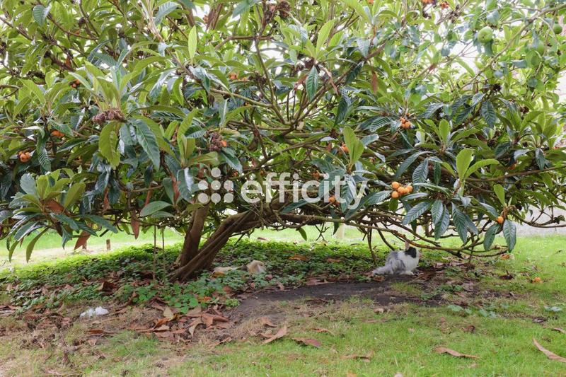 Maison - 178 m² - 6 pièces