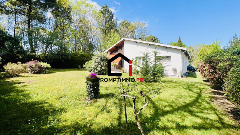 Maison ancienne - 140 m² - 5 pièces