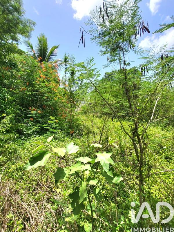 Maison - 65 m² - 4 pièces