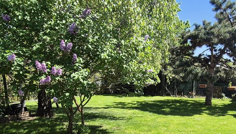 Maison - 161 m² - 7 pièces