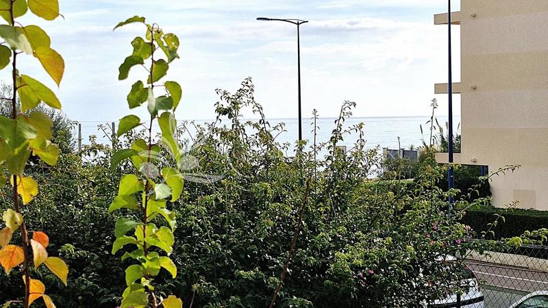 Appartement - 54 m² - 2 pièces