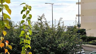 Appartement - 54 m² - 2 pièces