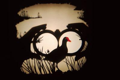 Spectacle immersif - &quot;Volatile Ombré&quot;