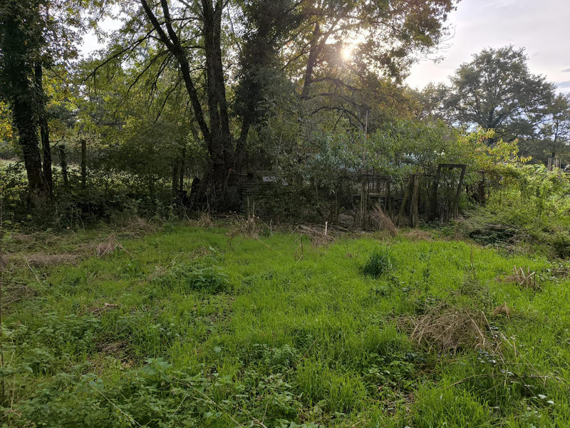 Maison - 62 m² - 3 pièces