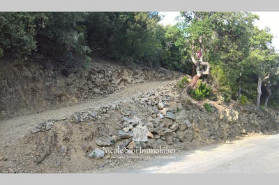 Terrain - 106 625 m²