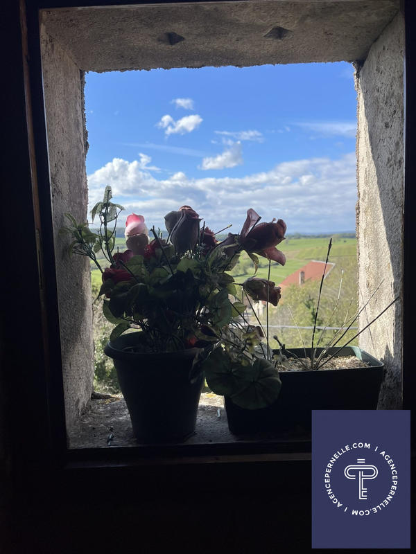 Viager - Ferme - 103 m² - 5 pièces