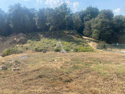 Terrain - 450 m²