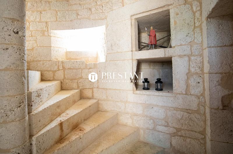 Propriété viticole - 390 m² - 9 pièces