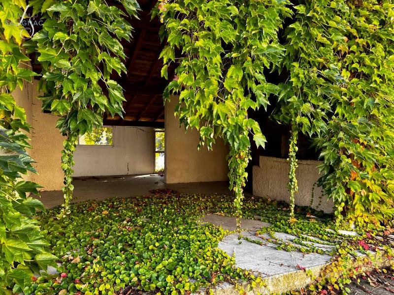 Local commercial - 234 m²