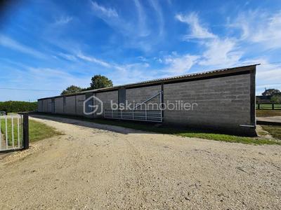 Terrain - 200 000 m²