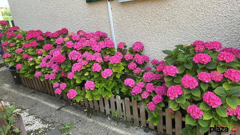 Maison - 129 m² - 5 pièces