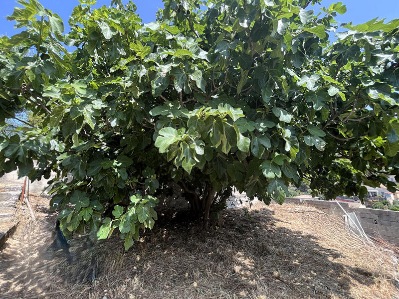 Maison - 72 m² - 3 pièces