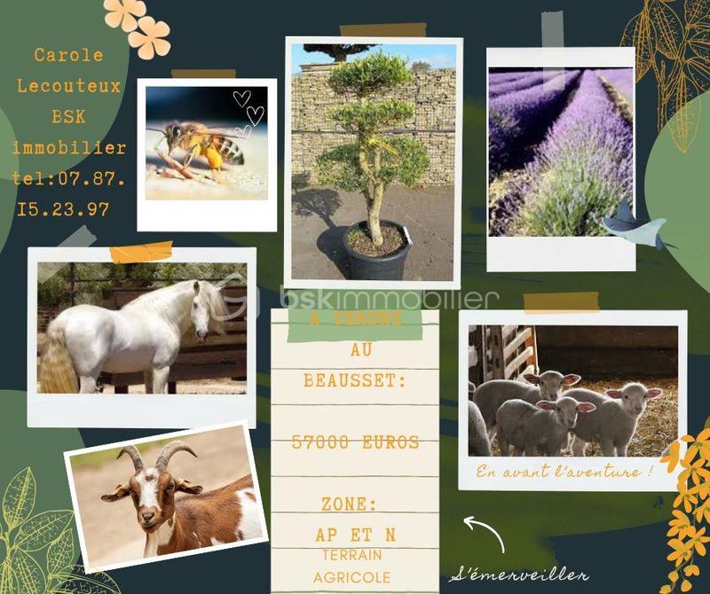 Terrain - 12 900 m²