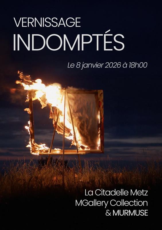Exposition - indomptés