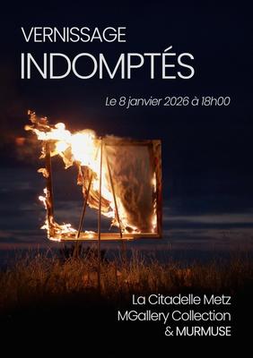 Exposition - indomptés