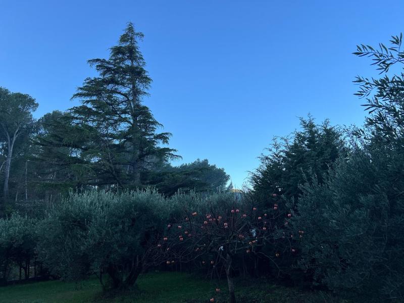 Maison - 240 m² - 5 pièces