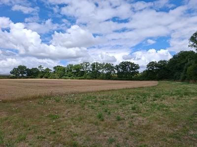 Longère - 118 m² - 6 pièces