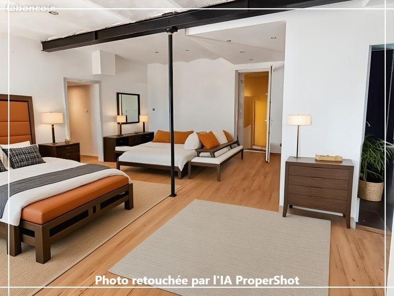 Moulin - 330 m² - 7 pièces