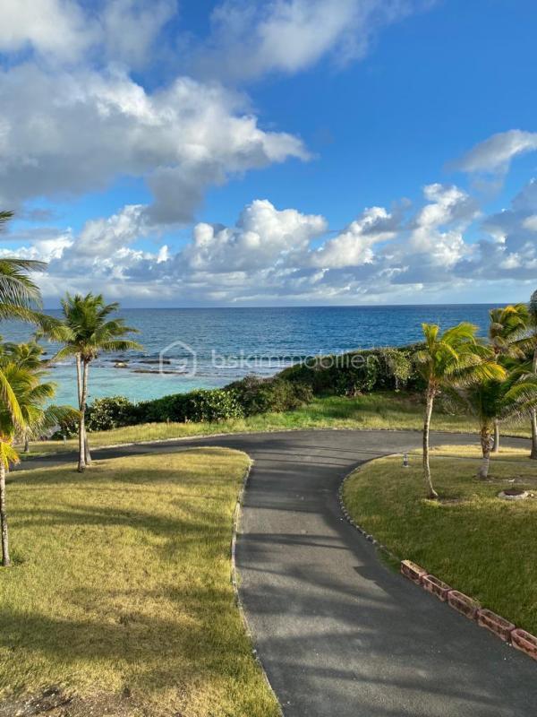 Studio - 20 m² - 1 pièce