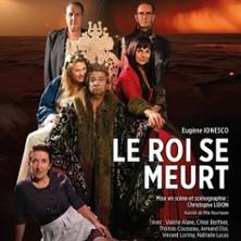 Le Roi se Meurt - Théâtre des Gémeaux Parisiens, Paris