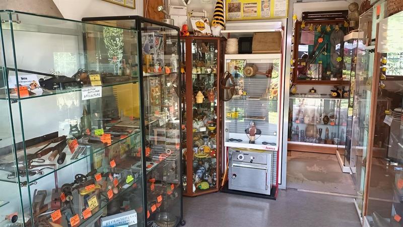 Visite du musée de l'abeille et de la miellerie