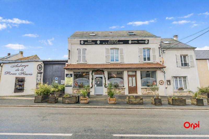 Maison chambre d'hôtes - 501 m² - 9 pièces